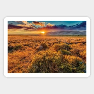 Sunset Over Dunes And Plain Sticker